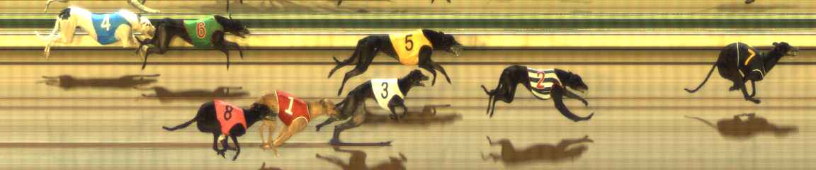 Photo finish for The Meadows Race 2