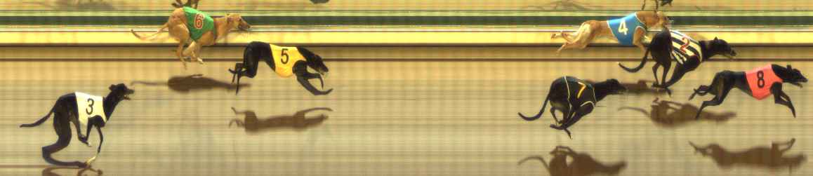 Photo finish for The Meadows Race 3