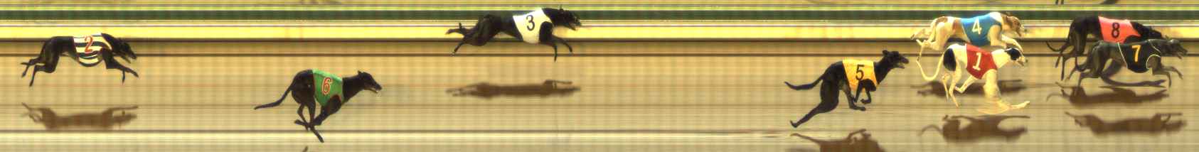 Photo finish for The Meadows Race 4