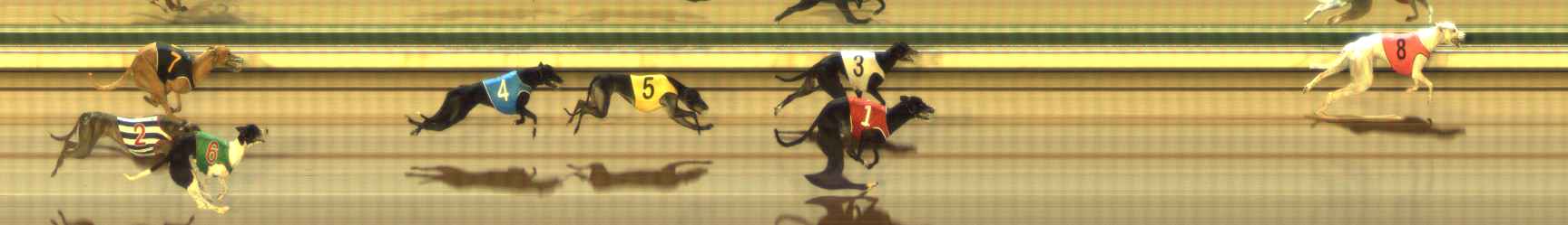 Photo finish for The Meadows Race 7