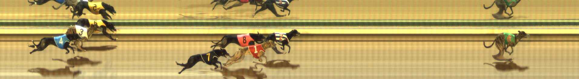Photo finish for The Meadows Race 8