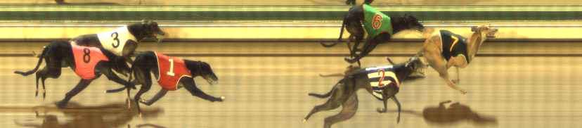 Photo finish for The Meadows Race 9
