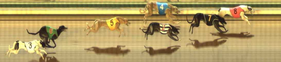 Photo finish for The Meadows Race 10