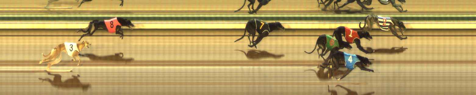 Photo finish for The Meadows Race 11