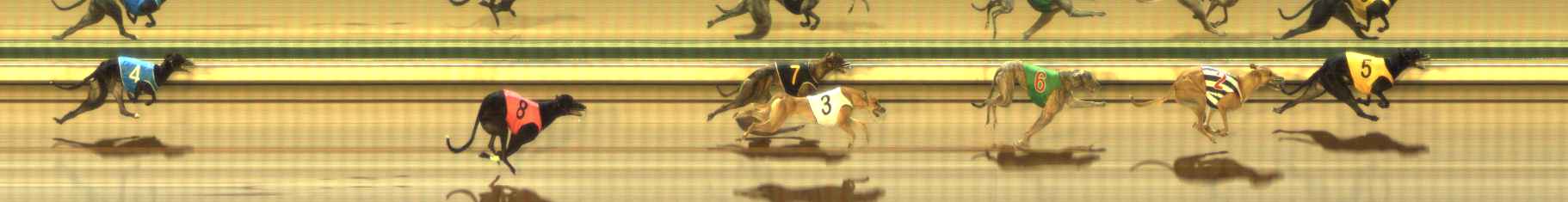 Photo finish for The Meadows Race 12