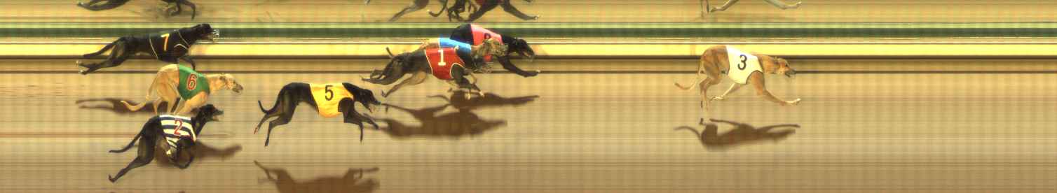 Photo finish for The Meadows Race 1