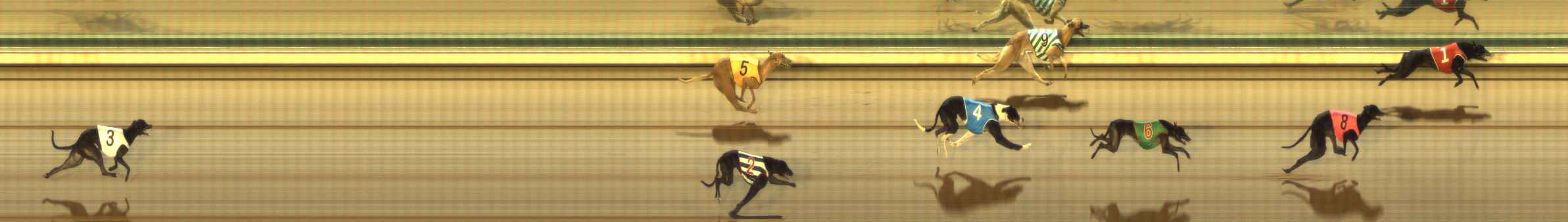 Photo finish for The Meadows Race 3
