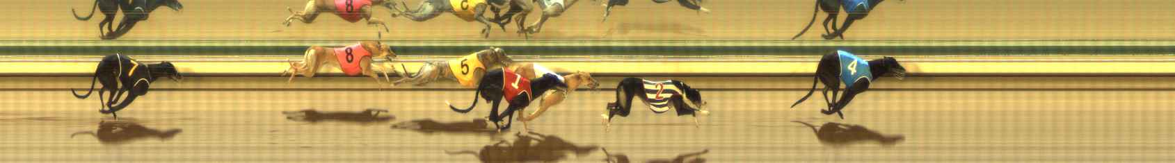 Photo finish for The Meadows Race 4