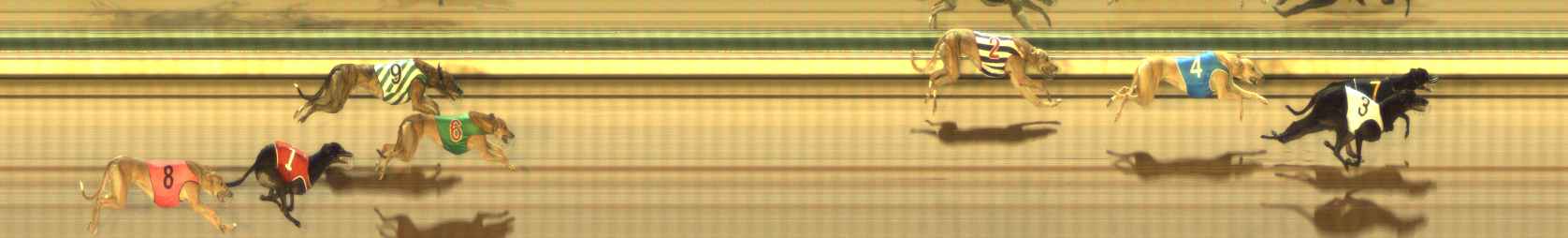 Photo finish for The Meadows Race 5
