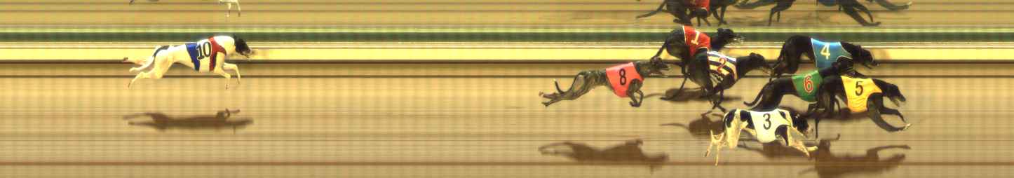 Photo finish for The Meadows Race 6