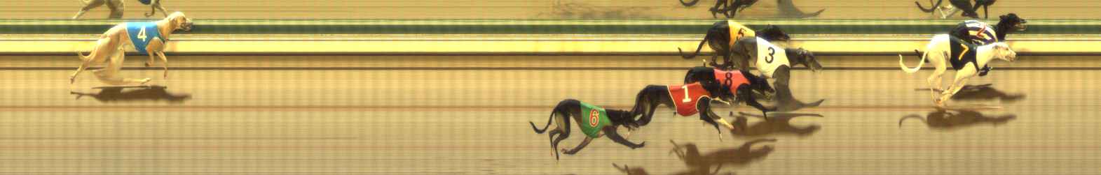 Photo finish for The Meadows Race 7
