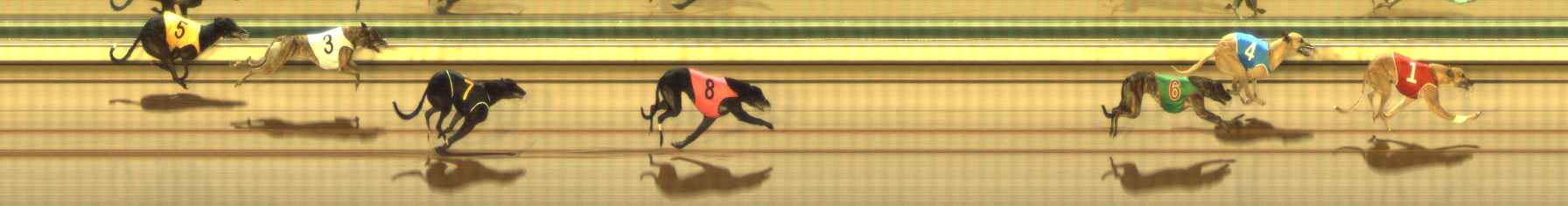 Photo finish for The Meadows Race 8