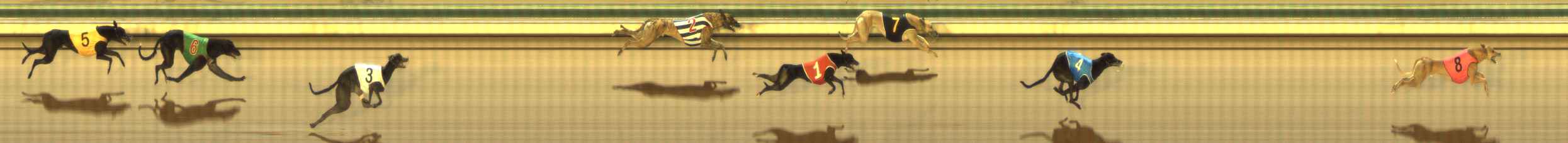 Photo finish for The Meadows Race 9