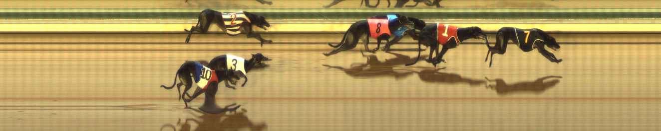 Photo finish for The Meadows Race 11