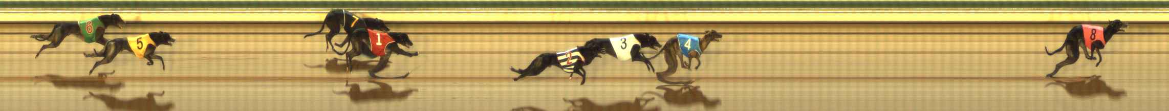 Photo finish for The Meadows Race 12