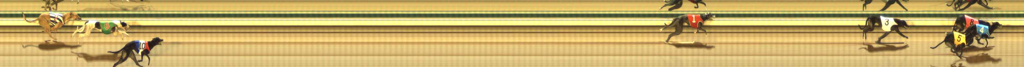 Photo finish for The Meadows Race 1
