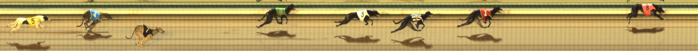 Photo finish for The Meadows Race 2
