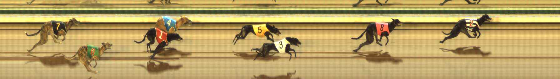 Photo finish for The Meadows Race 3