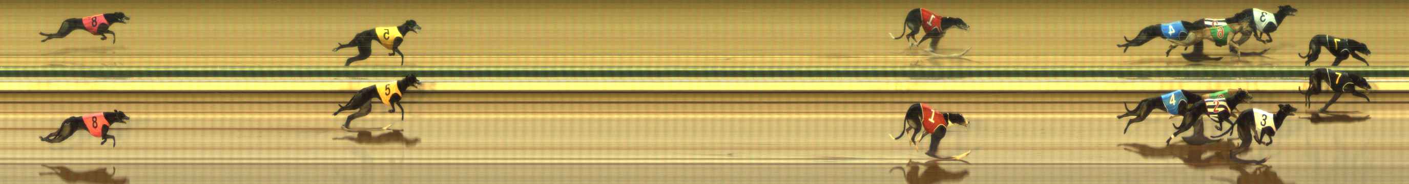 Photo finish for The Meadows Race 5