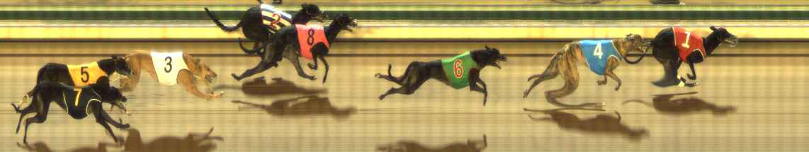 Photo finish for The Meadows Race 6