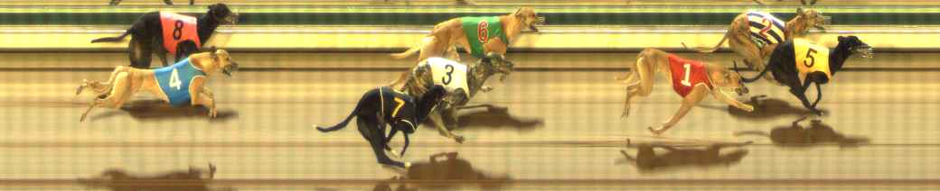 Photo finish for The Meadows Race 7