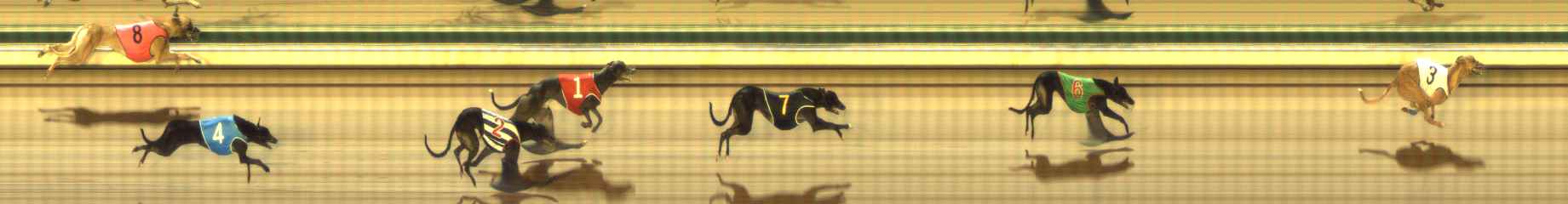 Photo finish for The Meadows Race 9