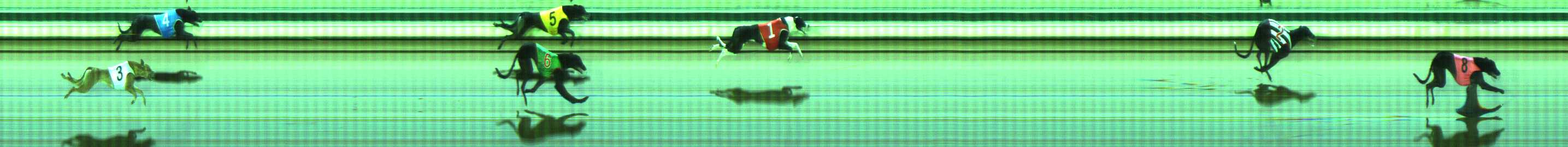 Photo finish for The Meadows Race 10