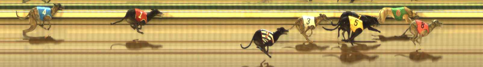 Photo finish for The Meadows Race 11