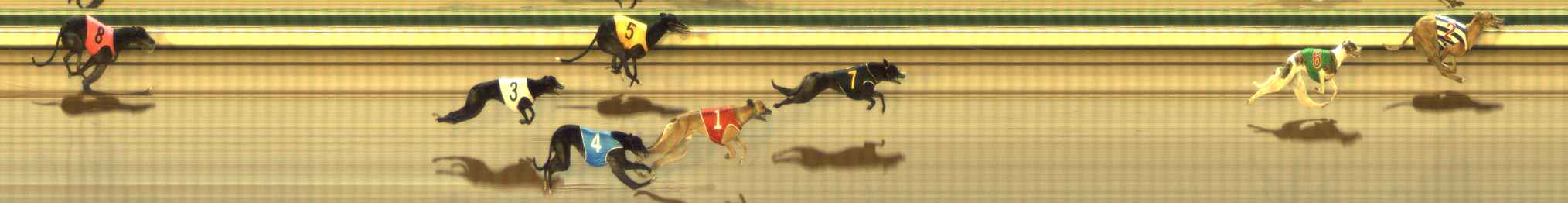 Photo finish for The Meadows Race 12