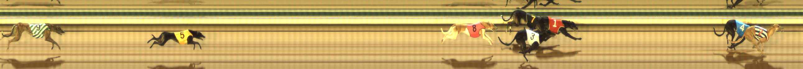 Photo finish for The Meadows Race 1