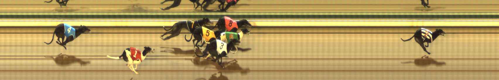 Photo finish for The Meadows Race 2