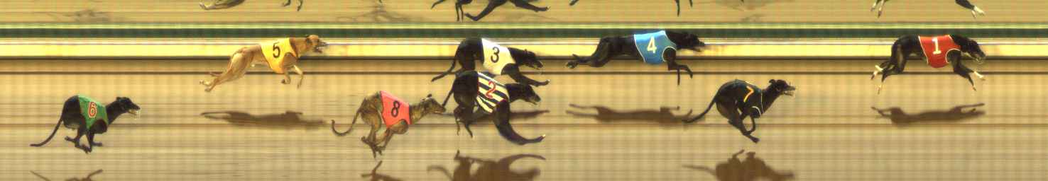 Photo finish for The Meadows Race 4