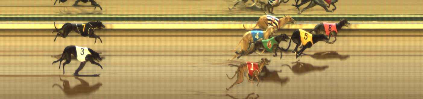 Photo finish for The Meadows Race 5