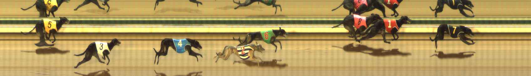 Photo finish for The Meadows Race 6