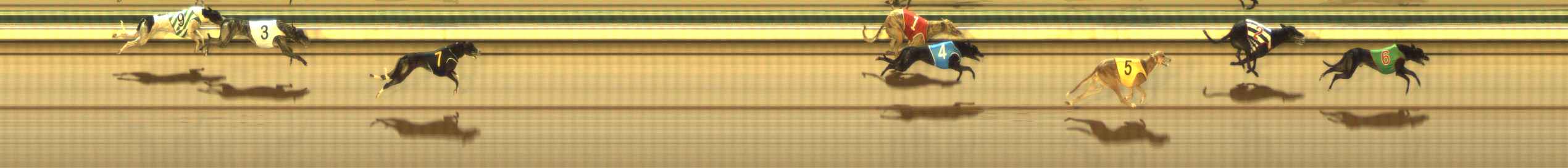 Photo finish for The Meadows Race 7