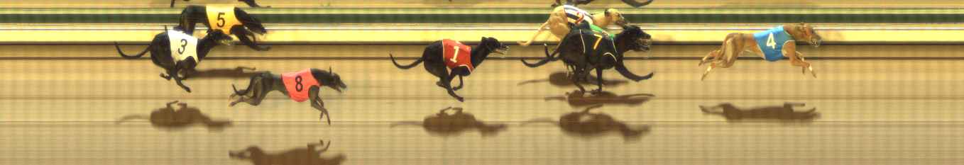 Photo finish for The Meadows Race 8