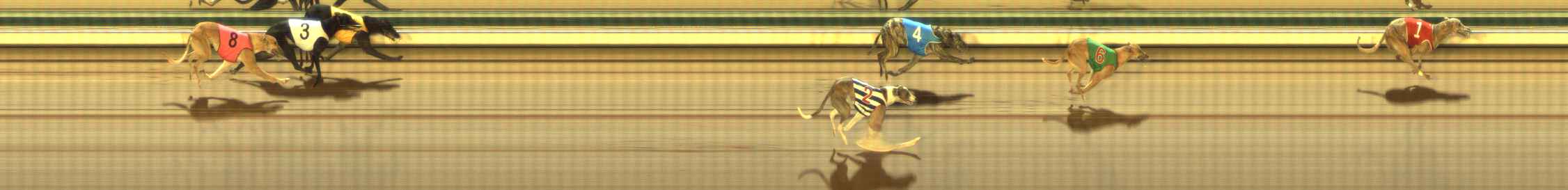 Photo finish for The Meadows Race 9