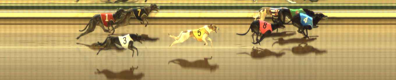 Photo finish for The Meadows Race 10