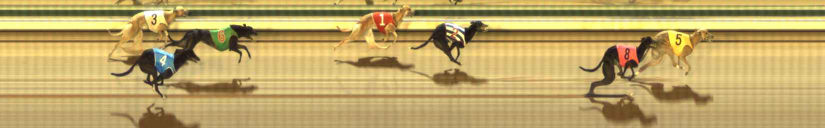 Photo finish for The Meadows Race 11