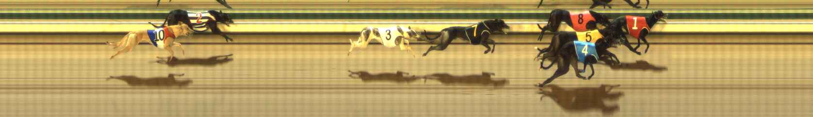 Photo finish for The Meadows Race 12