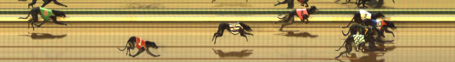 Photo finish for The Meadows Race 3