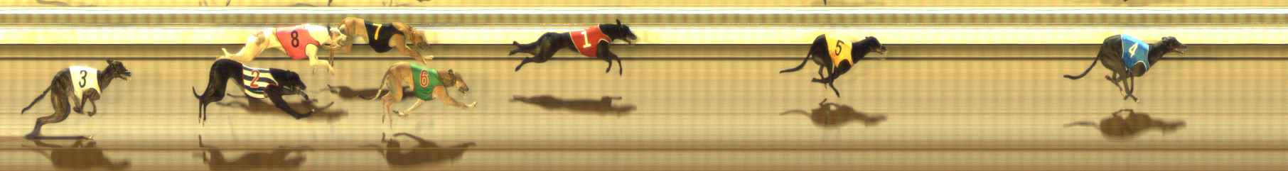Photo finish for The Meadows Race 1