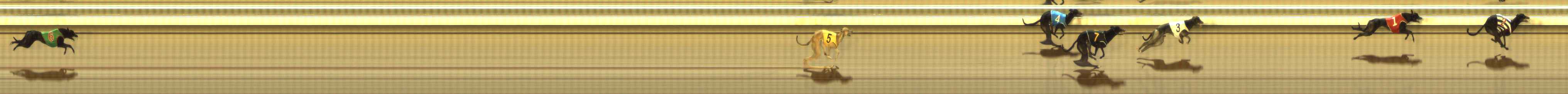 Photo finish for The Meadows Race 2