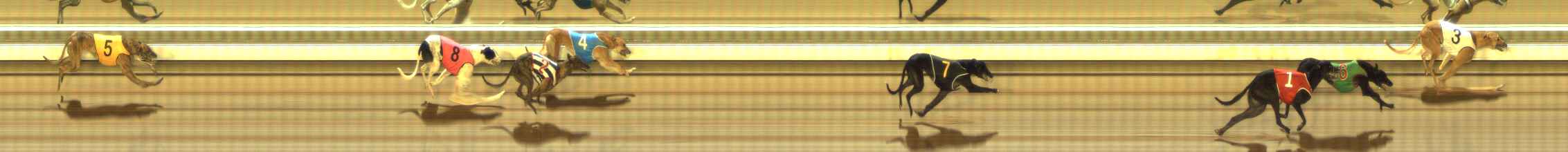 Photo finish for The Meadows Race 3