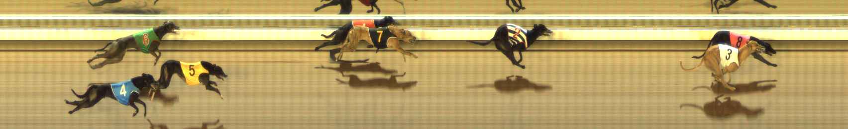 Photo finish for The Meadows Race 4