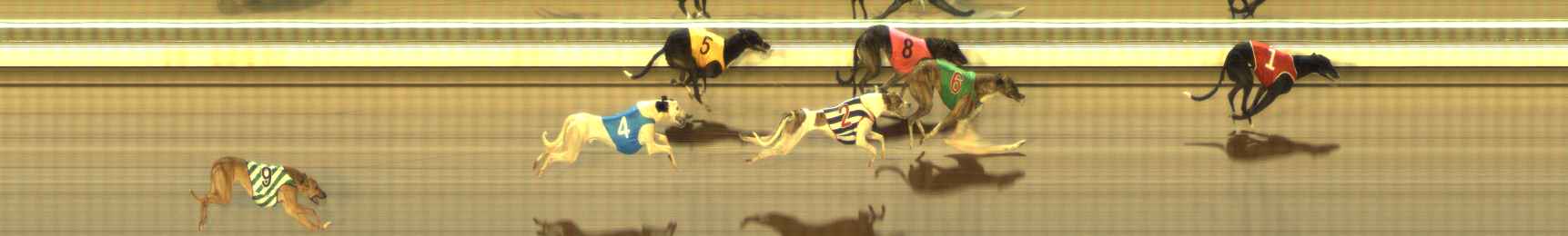 Photo finish for The Meadows Race 5