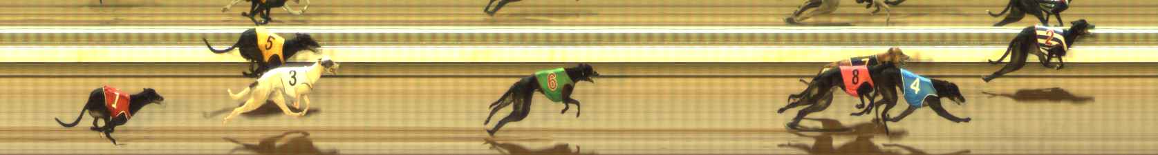 Photo finish for The Meadows Race 6
