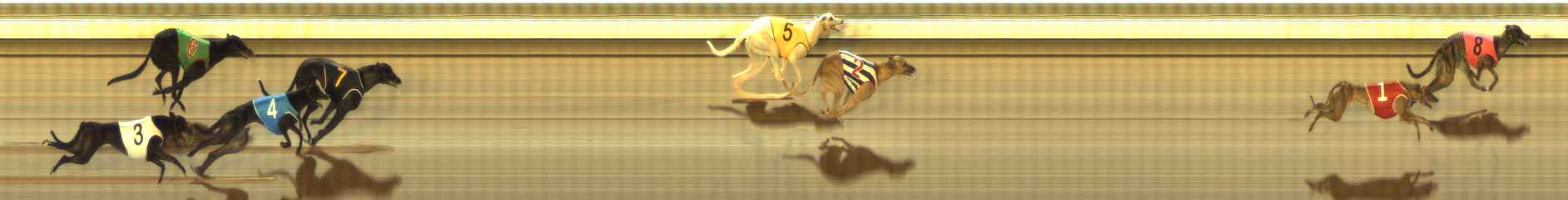 Photo finish for The Meadows Race 7