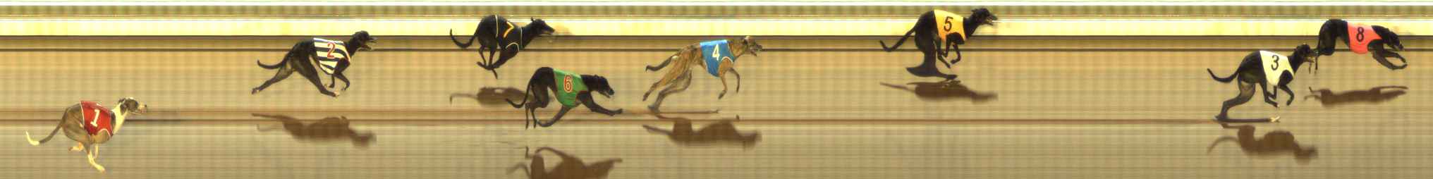 Photo finish for The Meadows Race 8