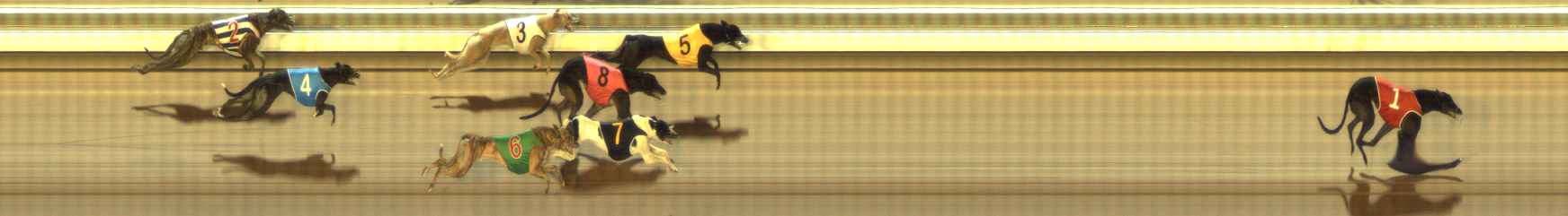 Photo finish for The Meadows Race 10